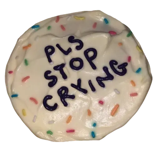pls stop crying