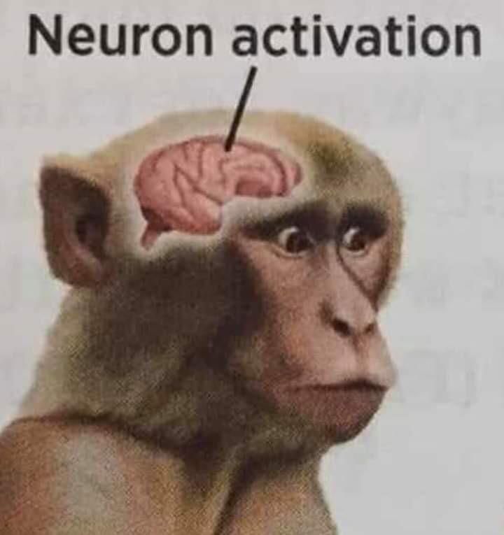 neuron activation monkey meme