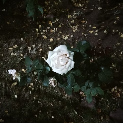 set_26-09_12__02.jpg